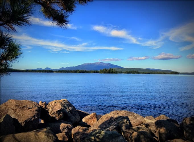 Moyse Environmental Services photo