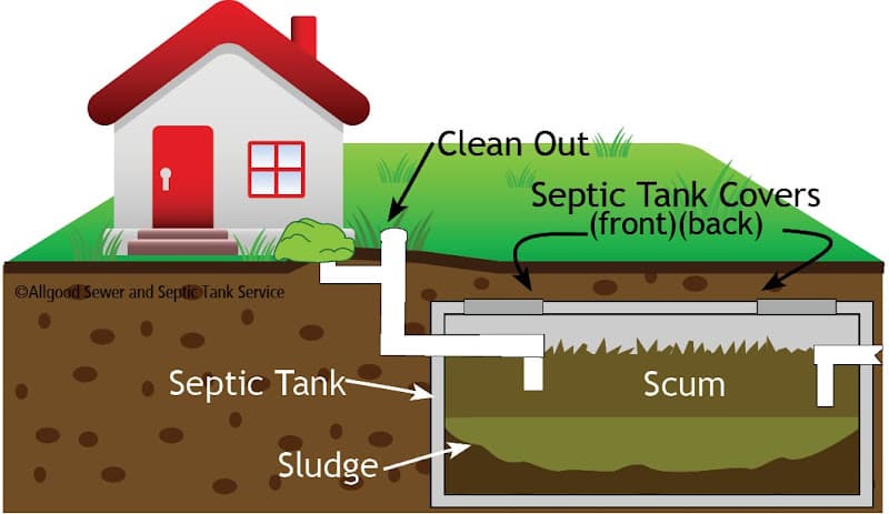Arizona Roadrunner Septic Service, LLC photo