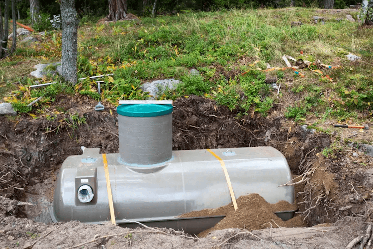 Simply Rooter and Septic Mesa photo