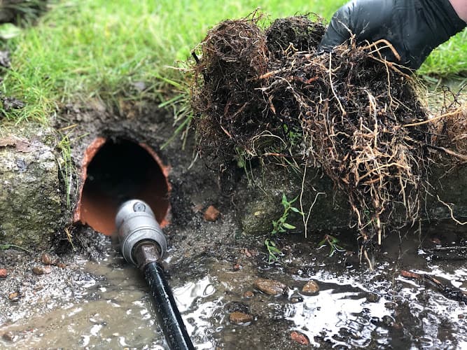 King's Sanitary Service photo