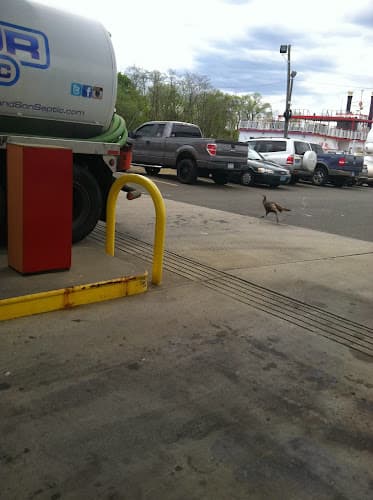 Bill JR and Son Septic LLC photo