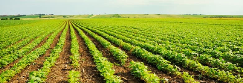 Williamson Farm Drainage ll LLC photo